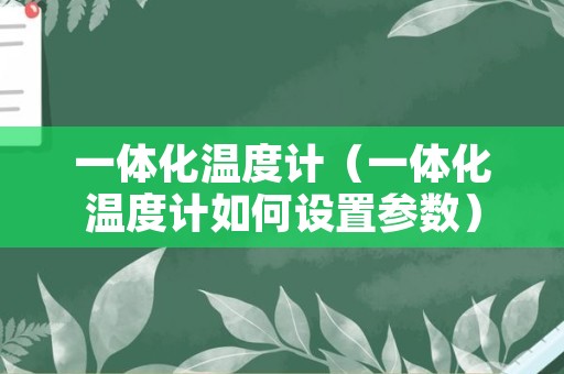 一体化温度计（一体化温度计如何设置参数）