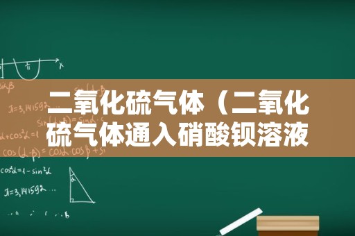 二氧化硫气体（二氧化硫气体通入硝酸钡溶液中）