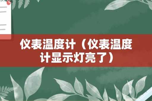 仪表温度计（仪表温度计显示灯亮了）