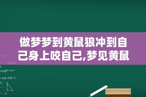 做梦梦到黄鼠狼冲到自己身上咬自己,梦见黄鼠狼往我身上钻