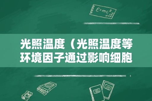 光照温度（光照温度等环境因子通过影响细胞代谢）