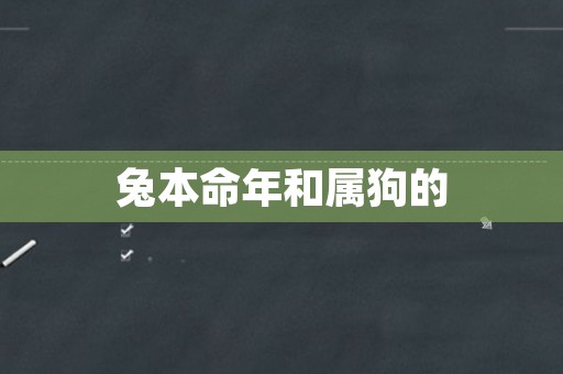 兔本命年和属狗的