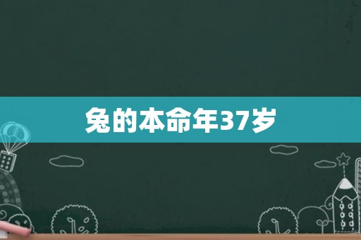 兔的本命年37岁