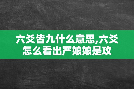 六爻皆九什么意思,六爻怎么看出严娘娘是攻