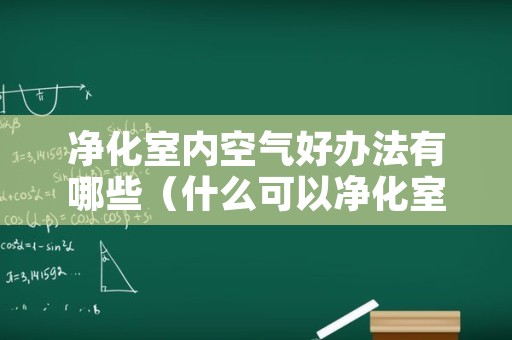 净化室内空气好办法有哪些（什么可以净化室内空气）