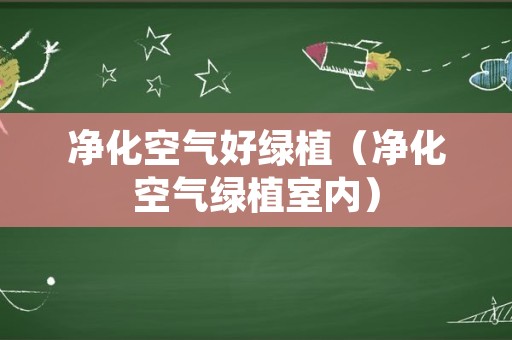 净化空气好绿植（净化空气绿植室内）