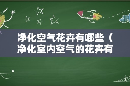 净化空气花卉有哪些（净化室内空气的花卉有哪些）