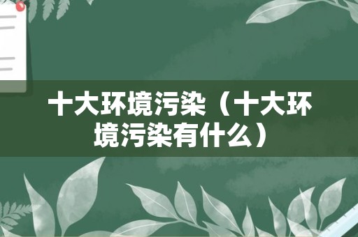 十大环境污染（十大环境污染有什么）