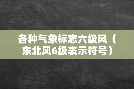 各种气象标志六级风（东北风6级表示符号）