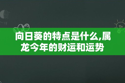 向日葵的特点是什么,属龙今年的财运和运势