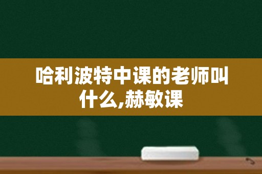 哈利波特中课的老师叫什么,赫敏课