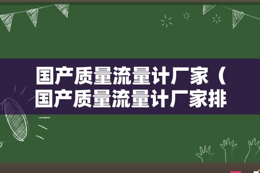 国产质量流量计厂家（国产质量流量计厂家排行榜）