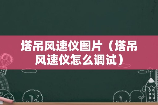 塔吊风速仪图片（塔吊风速仪怎么调试）