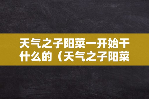 天气之子阳菜一开始干什么的（天气之子阳菜的身世）