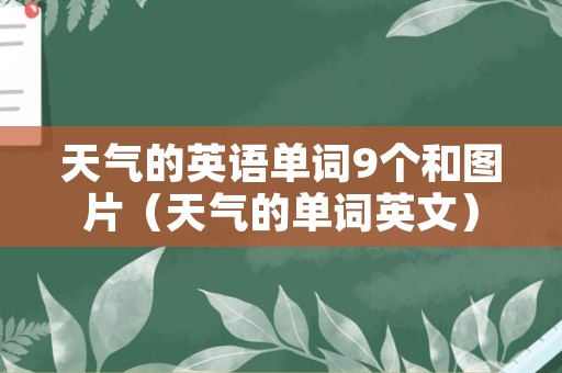 天气的英语单词9个和图片（天气的单词英文）