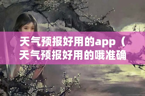 天气预报好用的app（天气预报好用的哦准确的是哪种）