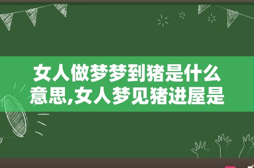 女人做梦梦到猪是什么意思,女人梦见猪进屋是什么预兆