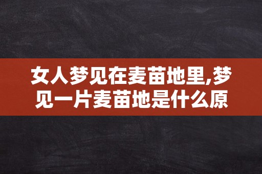 女人梦见在麦苗地里,梦见一片麦苗地是什么原因