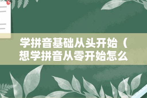 学拼音基础从头开始（想学拼音从零开始怎么学）