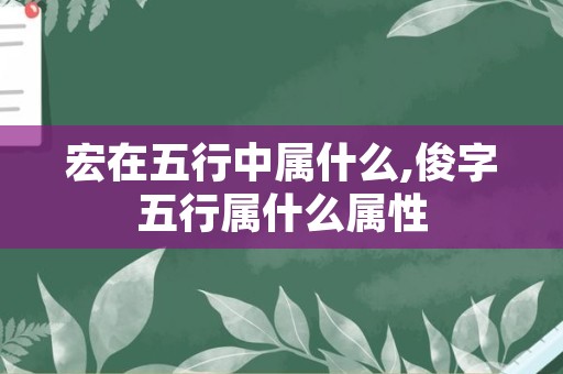 宏在五行中属什么,俊字五行属什么属性