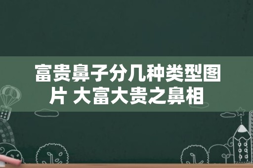 富贵鼻子分几种类型图片 大富大贵之鼻相