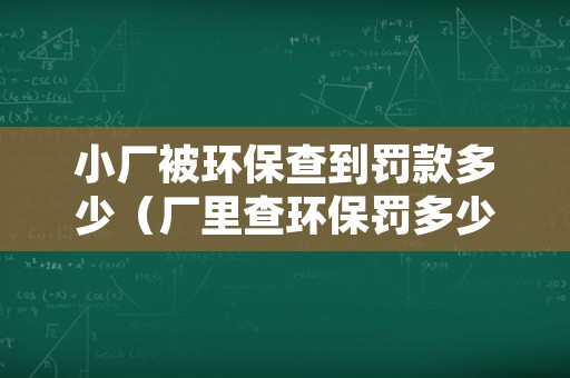 小厂被环保查到罚款多少（厂里查环保罚多少）