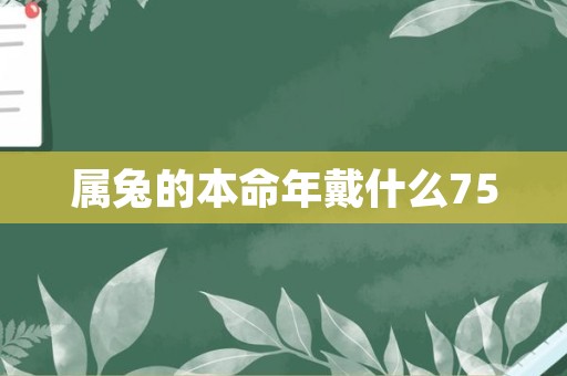 属兔的本命年戴什么75