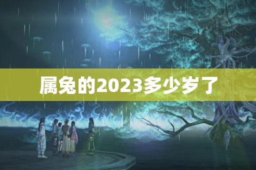 属兔的2023多少岁了