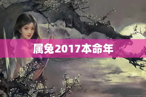 属兔2017本命年