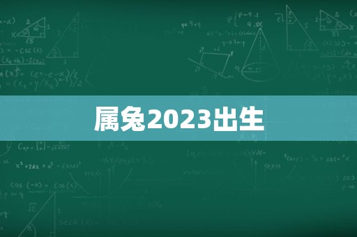 属兔2023出生