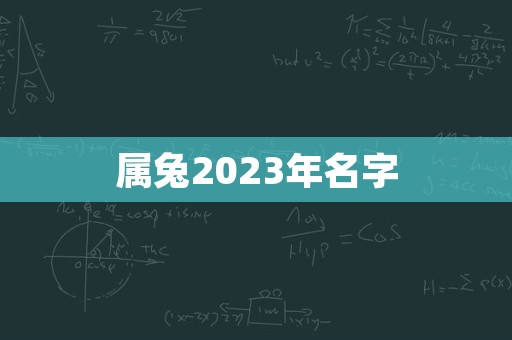 属兔2023年名字