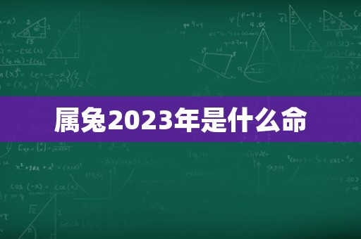 属兔2023年是什么命