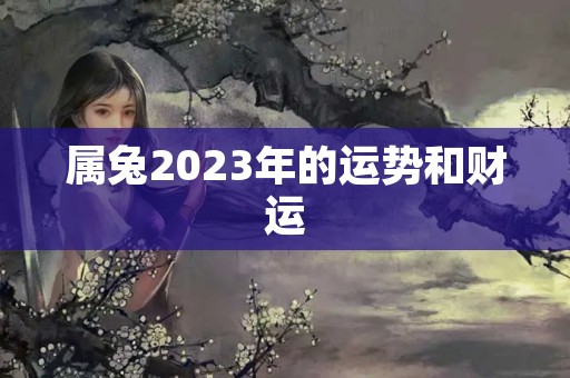 属兔2023年的运势和财运