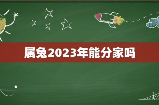 属兔2023年能分家吗