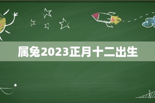 属兔2023正月十二出生