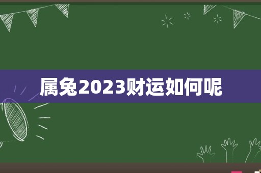 属兔2023财运如何呢