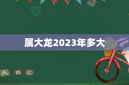 属大龙2023年多大