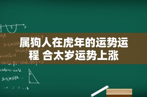 属狗人在虎年的运势运程 合太岁运势上涨