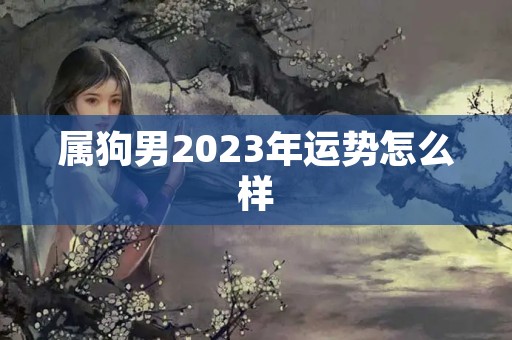 属狗男2023年运势怎么样