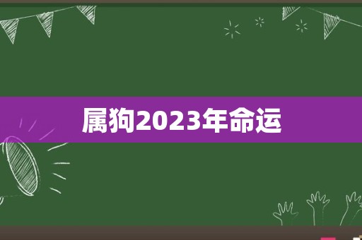 属狗2023年命运