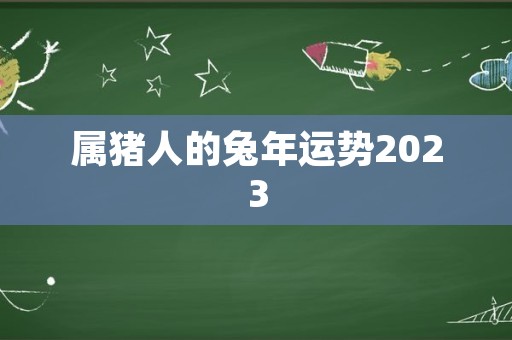 属猪人的兔年运势2023