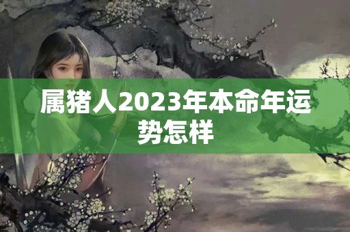 属猪人2023年本命年运势怎样