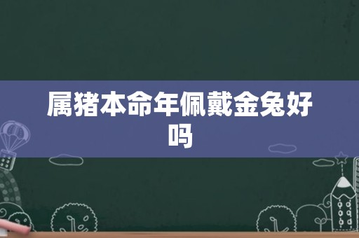 属猪本命年佩戴金兔好吗