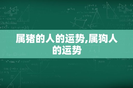 属猪的人的运势,属狗人的运势