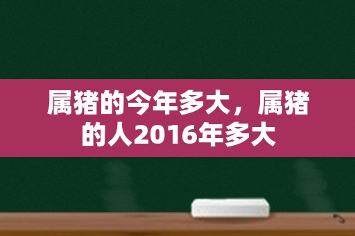 属猪的今年多大，属猪的人2016年多大