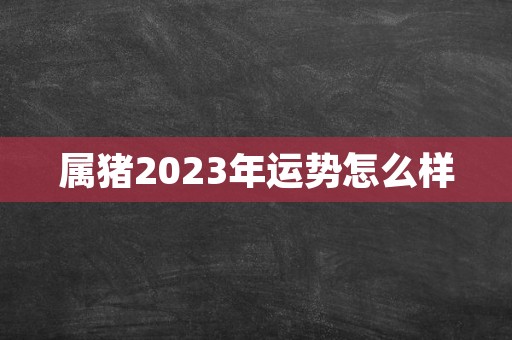 属猪2023年运势怎么样