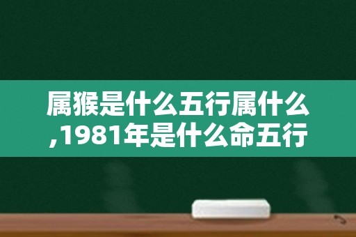 属猴是什么五行属什么,1981年是什么命五行属什么