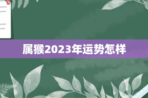 属猴2023年运势怎样