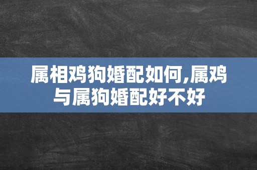 属相鸡狗婚配如何,属鸡与属狗婚配好不好