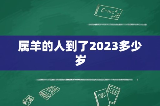 属羊的人到了2023多少岁